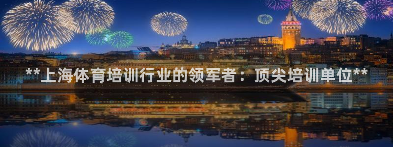 极悦平台注册申请流程详解图：**上海体育培训行业的领军者：顶