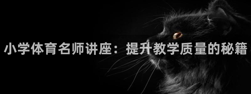 极悦平台客服团队名称