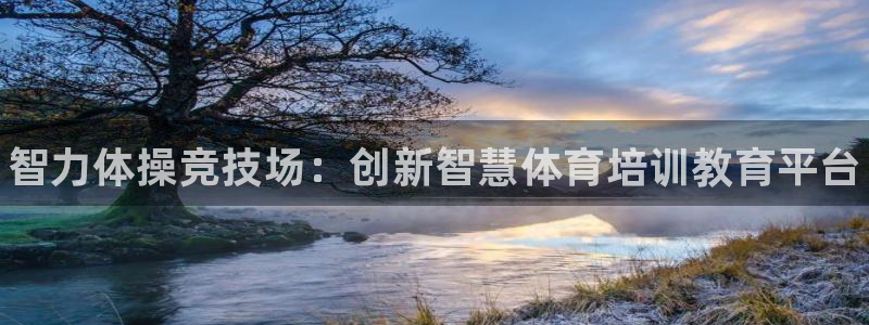 极悦娱乐管理最建议买吗：智力体操竞技场：创新智慧体育