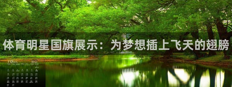 极悦平台官网登录入口网址是什么：体育明星国旗展示：为