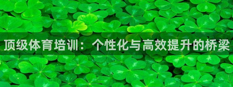 极悦平台官网入口下载：顶级体育培训：个性化与高效提升的桥梁