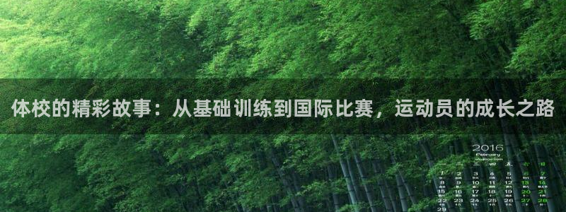 极悦娱乐股东名单：体校的精彩故事：从基础训练到国际比