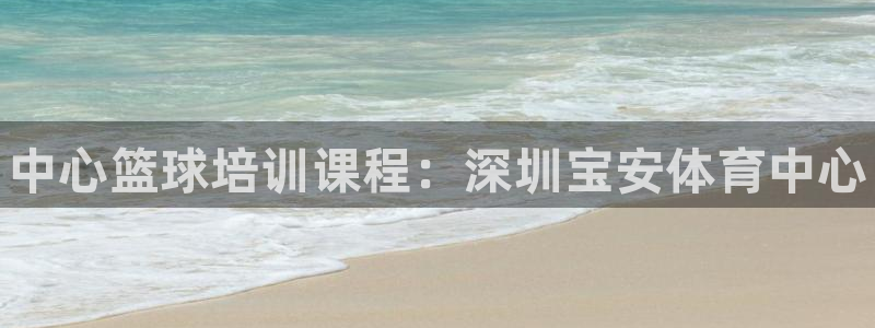 苏州极悦信息科技有限公司：中心篮球培训课程：深圳宝安体育中心