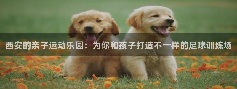 极悦娱乐下载安装手机版：西安的亲子运动乐园：为你和孩