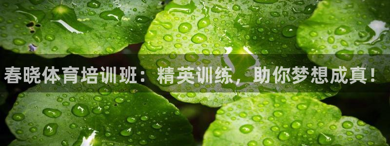 极悦平台平台登录入口：春晓体育培训班：精英训练，助你梦想成真