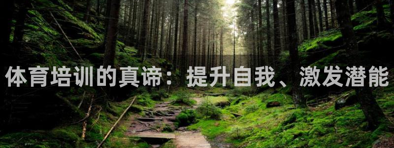 极悦平台官方网站下载：体育培训的真谛：提升自我、激发