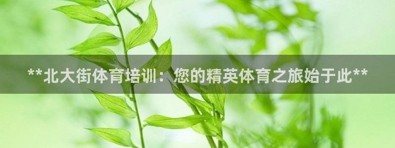 极悦娱乐会被骗吗：**北大街体育培训：您的精英体育之