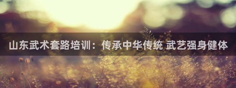 极悦娱乐会被骗吗是真的吗：山东武术套路培训：传承中华