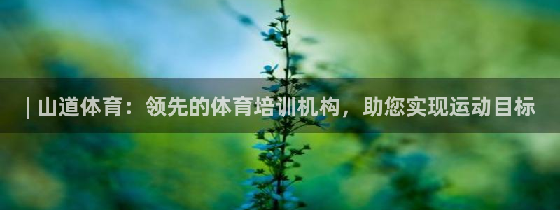 极悦平台有风险吗现在：| 山道体育：领先的体育培训机