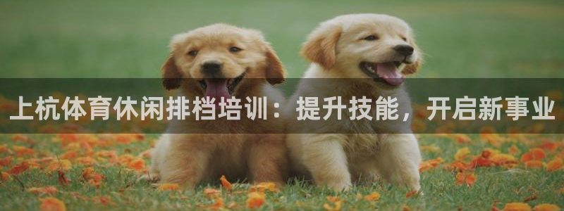 极悦娱乐登录网站每天的工作内容：上杭体育休闲排档培训