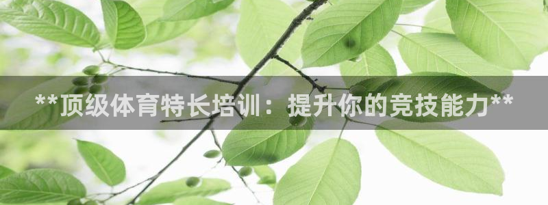 极悦是什么牌子空调的：**顶级体育特长培训：提升你的