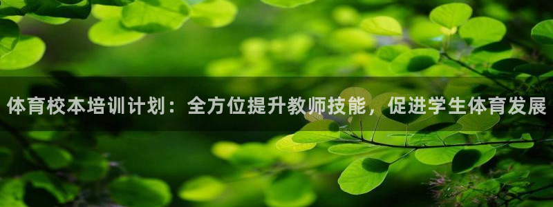 极悦官方网站app下载安卓：体育校本培训计划：全方位