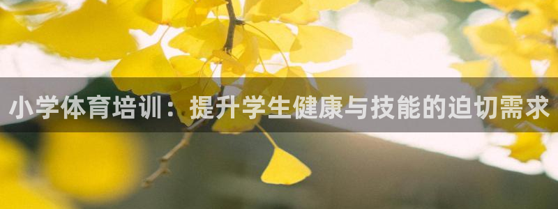 极悦平台网址皮皮虾：小学体育培训：提升学生健康与技能