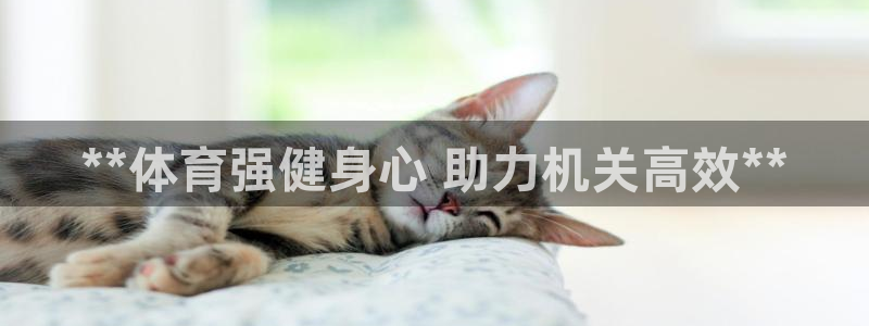 极悦平台注册登录入口在哪：**体育强健身心 助力机关