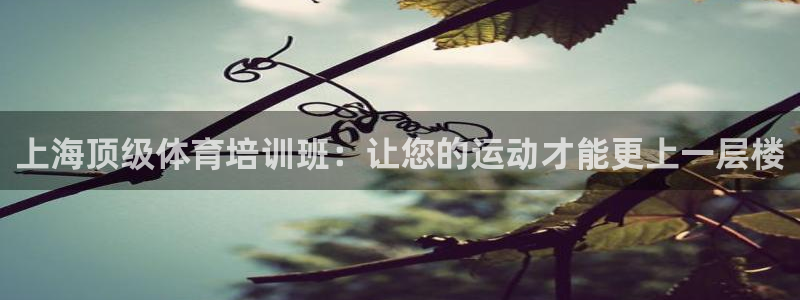 极悦娱乐官网最新版本更新内容：上海顶级体育培训班：让
