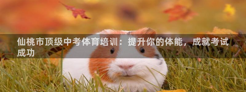 极悦平台注册用户名格式错误：仙桃市顶级中考体育培训：