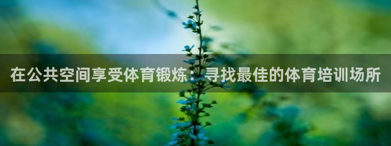 极悦平台安全吗可信吗：在公共空间享受体育锻炼：寻找最