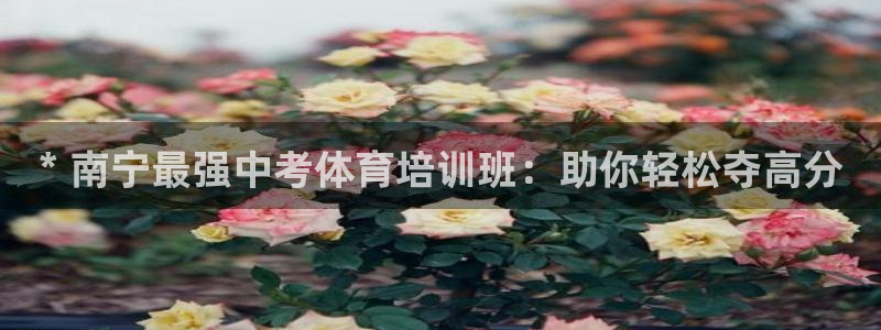 极悦平台登录不进去怎么回事呢：* 南宁最强中考体育培