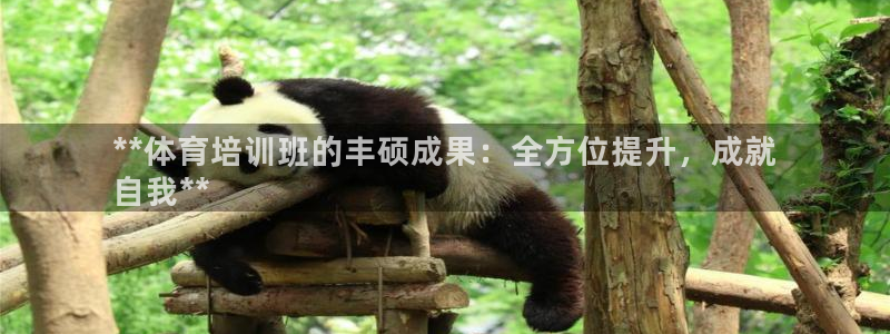 极悦平台注册官方网站下载安卓版：**体育培训班的丰硕