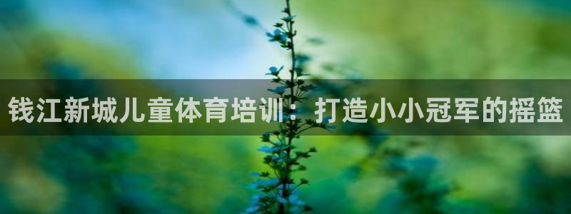 极悦娱乐成7O777：钱江新城儿童体育培训：打造小小