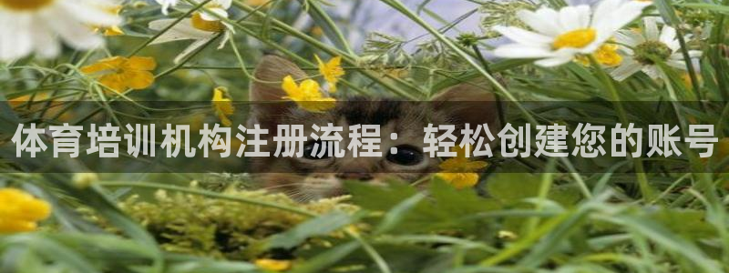 极悦平台注册失败如何解决方法：体育培训机构注册流程：