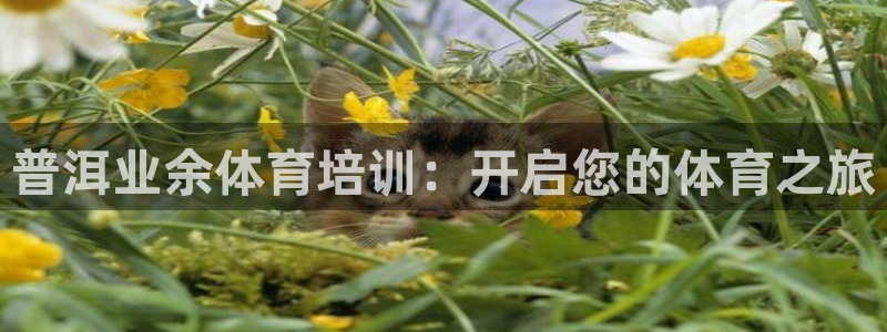 极悦娱乐百科百度：普洱业余体育培训：开启您的体育之旅