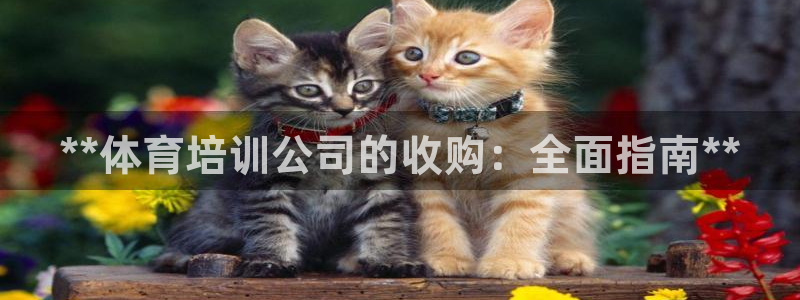 极悦平台官方网站入口：**体育培训公司的收购：全面指