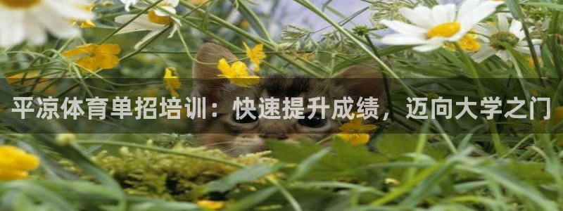 极悦娱乐app官方版本更新内容在哪：平凉体育单招培训
