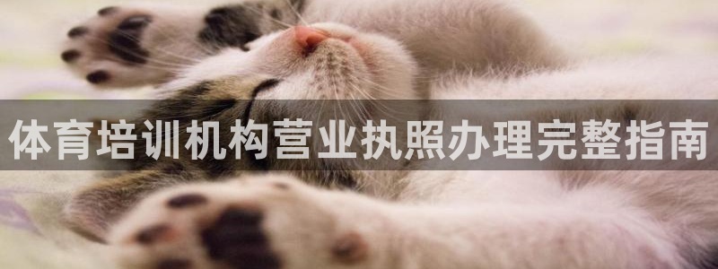 极悦平台用户评价与反馈：体育培训机构营业执照办理完整