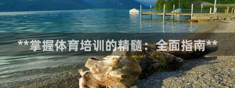 极悦官网旗舰店：**掌握体育培训的精髓：全面指南**