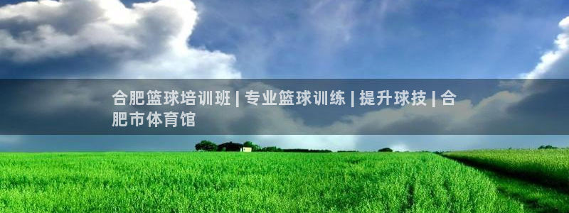 极悦娱乐创始人背景故事：合肥篮球培训班 | 专业篮球