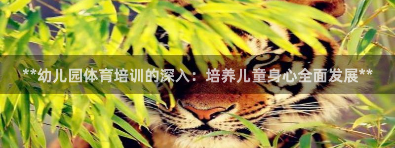 极悦平台官网登录入口：**幼儿园体育培训的深入：培养