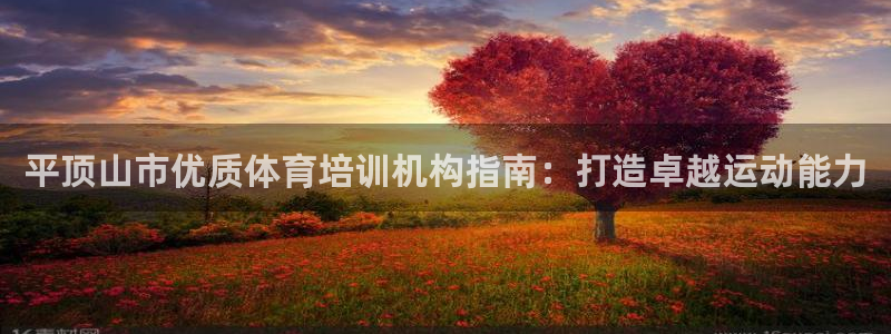 极悦平台官网登录入口网址查询：平顶山市优质体育培训机