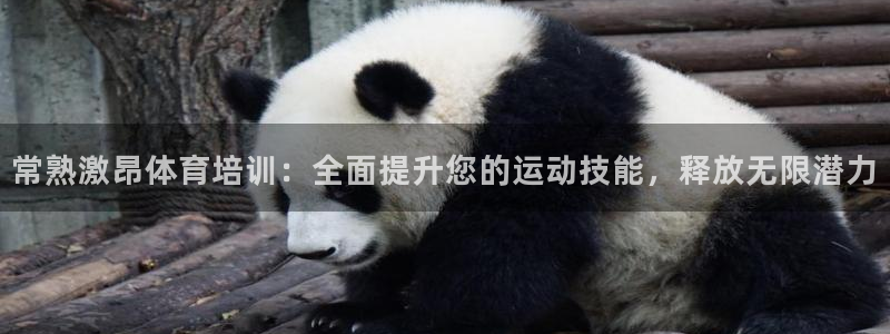 极悦平台客服的联系方式是：常熟激昂体育培训：全面提升