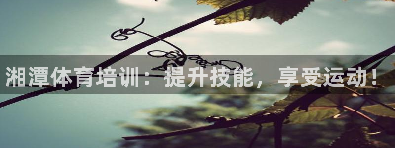 加盟极悦教育多少钱：湘潭体育培训：提升技能，享受运动