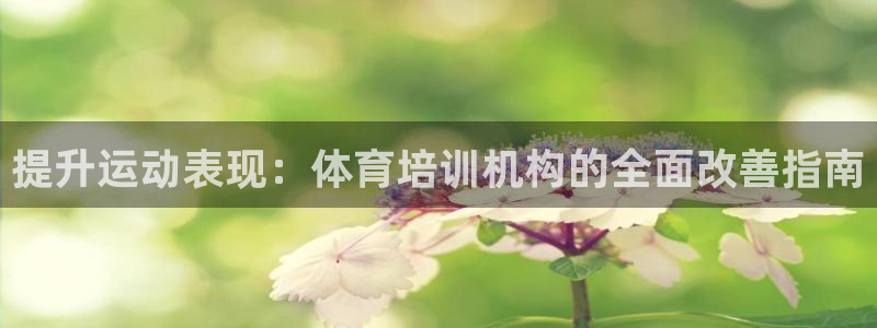 极悦官网：提升运动表现：体育培训机构的全面改善指南