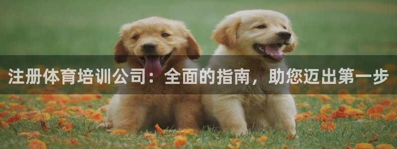 极悦娱乐公司最新招聘信息网：注册体育培训公司：全面的