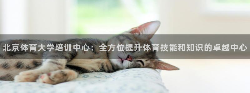 极悦娱乐官网入口：北京体育大学培训中心：全方位提升体