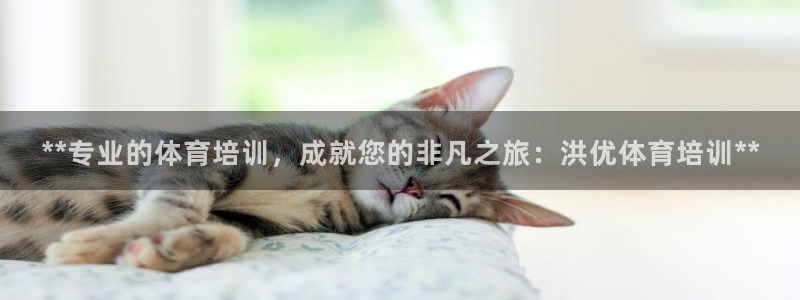极悦注册：**专业的体育培训，成就您的非凡之旅：洪优