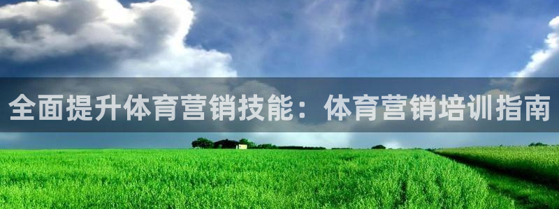 极悦平台注册的弊端及解决方法：全面提升体育营销技能：