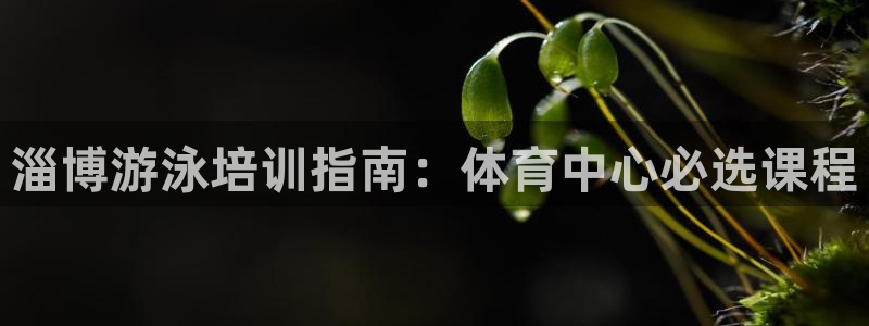 极悦娱乐官网最新版本更新内容视频：淄博游泳培训指南：