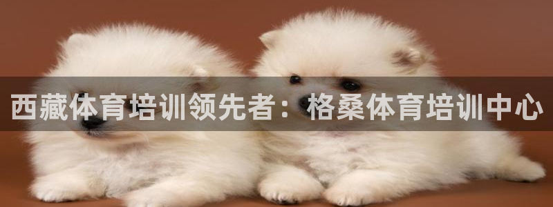 无锡极悦科技有限公司：西藏体育培训领先者：格桑体育培