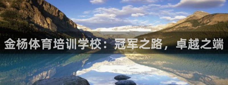 极悦娱乐股东有哪些：金杨体育培训学校：冠军之路，卓越