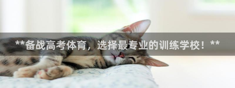 深圳极悦文化传媒有限公司：**备战高考体育，选择最专