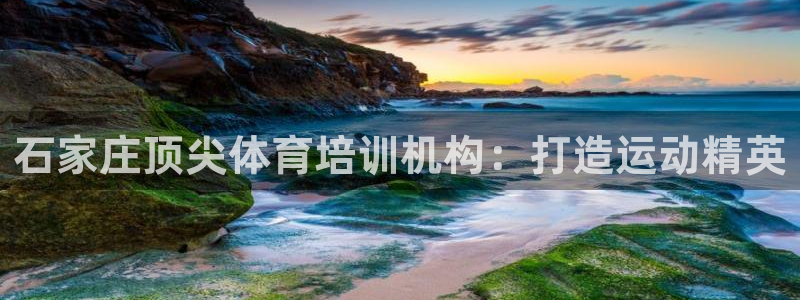 极悦官方网站app下载软件：石家庄顶尖体育培训机构：