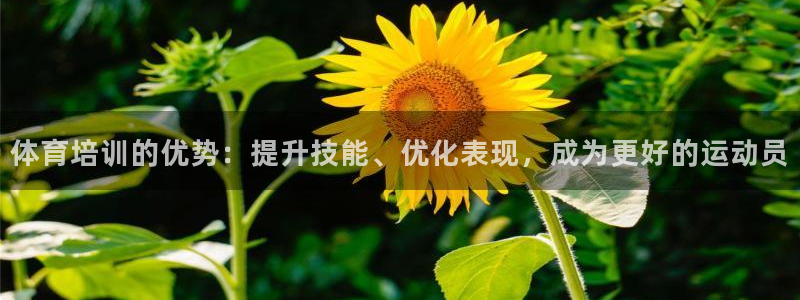 极悦平台代理怎么赚钱的：体育培训的优势：提升技能、优