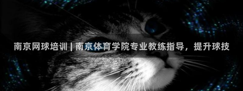 极悦平台是什么公司：南京网球培训 | 南京体育学院专