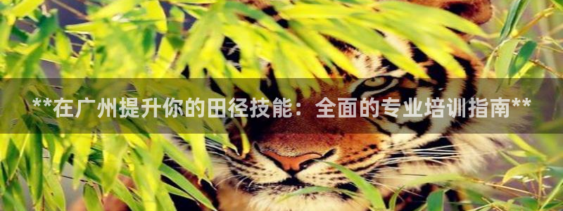 极悦平台代理怎么赚钱的：**在广州提升你的田径技能：