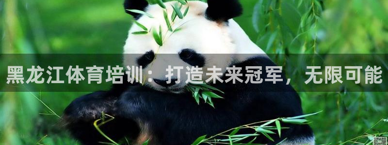 极悦娱乐官方网站入口：黑龙江体育培训：打造未来冠军，