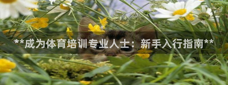 极悦平台app安全吗可靠吗：**成为体育培训专业人士